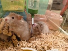 -龙猫仔乐园(惠福东路店)