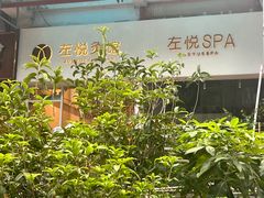 -左悦·艾灸调理·推拿按摩·精油SPA(卓悦汇店)