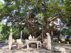 -船政文化景区-罗星塔公园
