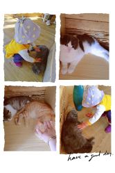 -萌宠亲子动物乐园(槐房万达店)