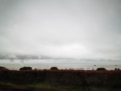 -合肥滨湖国家森林公园