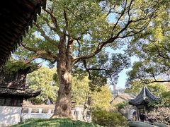 -惠山古镇·寄畅园