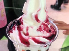 -Salud撒露欧洲冻酸奶(北苑上品店)
