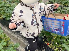 -小鱼草莓采摘园农家乐·小鱼餐厅