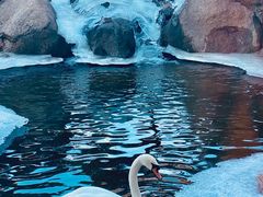 -罗红摄影艺术馆