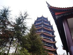 -铁山坪森林公园