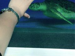 -北戴河圣蓝海洋公园