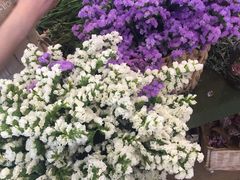 -L.C FLORA花予你(城西银泰城店)