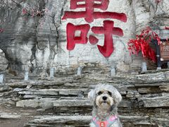 -青州市云门山风景区
