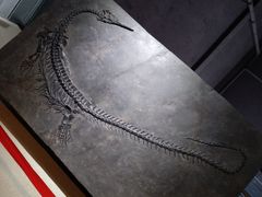 -中华赏石园