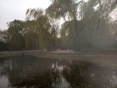-玲珑塔公园