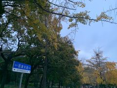 -八大关景区