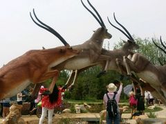 -武清南湖绿博园