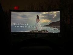 -枫花园汽车电影院(朝阳公园店)