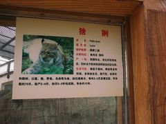 -石家庄市动物园