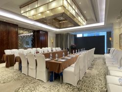 -武汉汉口喜来登大酒店·宴会厅