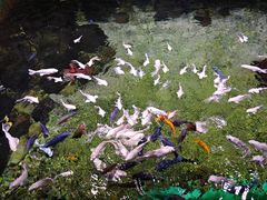 -常州海昌海洋探索馆