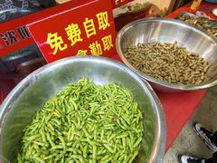 -周记老沈阳焦火鸡架