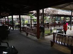 景观位-胖大姐黄辣丁鱼庄(新津店)