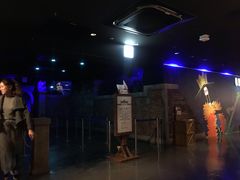 -东京塔海贼王主题公园