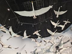 -中国湿地博物馆
