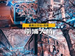 -顾村公园