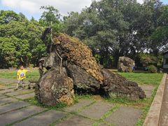 -海口火山口国家地质公园