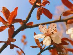 -江南大学(蠡湖校区)