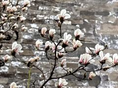 -东华门大街小区