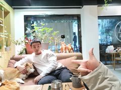 -柴务处·柴犬主题狗咖