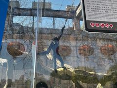 -南昌动物园
