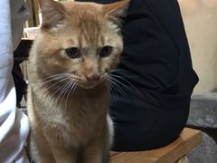 -老宅原住民沙茶面精品小吃(龙头路店)