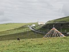 -郭莽湿地