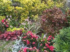 -上海市控江中学