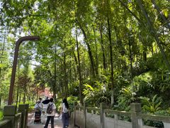 -重庆彩云湖湿地公园