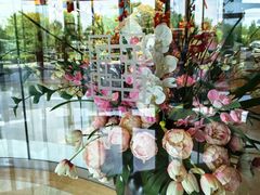-北京首都机场希尔顿酒店