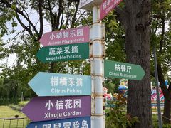 -前小桔亲子创意农场·草莓采摘·露营烧烤