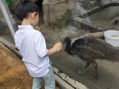 -灵玲国际马戏城