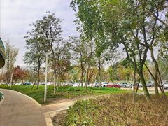 -白鹭湾湿地公园