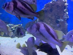-青岛海底世界-水族馆