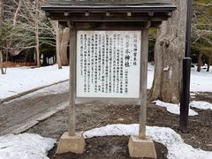-北海道神宫