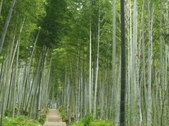 -洪江古商城