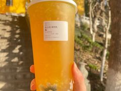 -鸡鸣赐茶(鸡鸣寺路店)