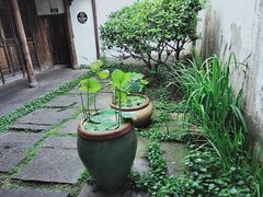 -院子餐厅·大锅菜·老杭帮(桥西直街店)
