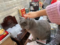 -周大娘牛乳(旧寨古村总店)