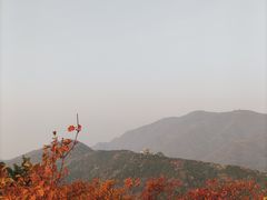 -香山公园