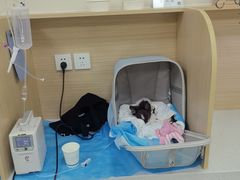 -美联众合爱康动物医院•复杂内科•肿瘤科•牙科•腔镜诊疗中心