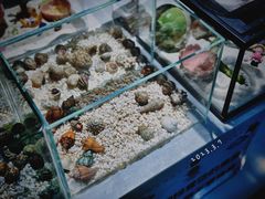 -骑鹅公社(南开大悦城店)