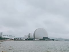 -野狸岛