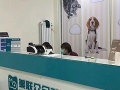 -美联众合爱康动物医院•复杂内科•肿瘤科•牙科•腔镜诊疗中心